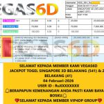 VEGAS6D JACKPOT TOGEL SINGAPORE 3D BELAKANG (541) & 2D BELAKANG (41) Rp.20.000.000,- LUNAS